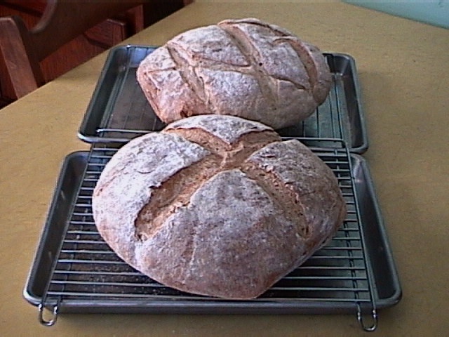 Why, it's my experiment in artisan bread baking.